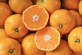 愛媛みかんの老舗厳選【濃厚な甘みと程よい酸味】みかん 2.5kg【愛媛県川上産】【冬ギフト】