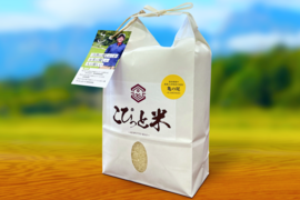 【令和7年産】栽培期間中農薬不使用【亀の尾】白米・2kg　あっさりとした上品な味わい　こぴっと米