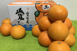🍋柑橘祭🍊【愛媛まどんな6kg】【グリーンレモン2kg】