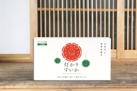 【クール便】※訳あり  キズ、色ムラ、変形、虫食いあり※　タネから育てた 農薬化学肥料を一切使っていない 小玉 スイカ  2.0～3.0kg x ２個