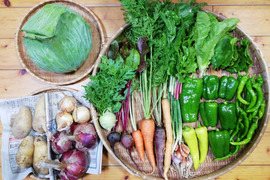 【農薬化学肥料不使用】おまかせ野菜セット【８種類以上の野菜】【金曜日発送】【熨斗(のし)対応可】【８０サイズ箱】