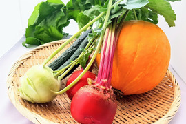 淡路島から直送　初夏のお野菜詰め合わせ【４品目】【常温対応】