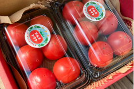 【旬本番】アルテトマト2P☆深い旨味の高糖度トマト【少量お試し】