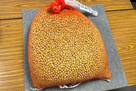 肥料不使用・農薬不使用の自然１９年の大豆　10ｋｇ