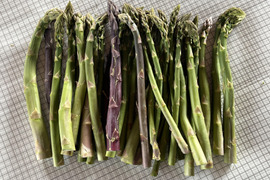 【キズ曲がり訳あり品】アスパラガス１ｋｇ　北海道幕別町産露地（ご家庭用）