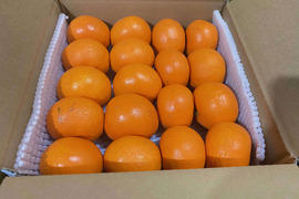 【小さなお口にぴったりフィット】もっと 小ちゃい！今年も甘〜くなった せとか です 3Sサイズ ご家庭用 みかん　18個入り❗️