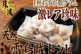 【激レア珍味部位】🦑天然国産カミナリイカ『口先(トンビ)』長州床波ブランド海鮮部位指定キャンペーン数量限定☆お試し約100g【6月上旬予約】