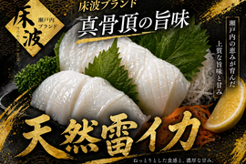 【指名買いが始まる海鮮】細胞レベルで分かる差🌊天然国産『雷イカ』長州床波ブランド大容量パッケージ約約400g【5月下旬予約】