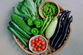 【旬のお野菜セット】使い慣れた定番野菜を中心に、農薬や化学肥料に頼らずにゆっくり元気に育った野菜をお届けします！