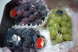 シャインマスカット 家庭用の通販｜食べチョク｜産地直送(産直)お