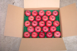 山形産　完熟　ふじりんご　５㌔　食べきりサイズ　２３玉