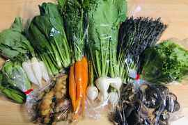 農薬を使わない！栽培だからこの甘さ。免疫力アップに抗酸化野菜セット（１箱）