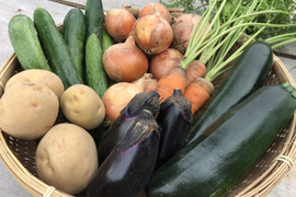 淡路島産農薬不使用！旬の夏野菜セット
★昨年より値引きしております。