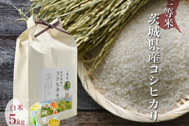 令和4年 新米 噛めば噛むほど旨味がでてくる茨城県コシヒカリ 白米【一等米】【5kg】
