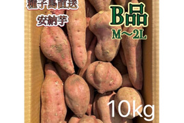 【絶品】種子島産安納芋 B品 中〜大サイズ 10kg(箱別)