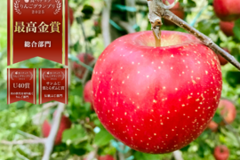 りんごGP2025最高金賞1位🎊【究極のサンふじ】コスモふじ 3キロ箱 商品ID52651 長野県 信州 安曇野 リンゴ 幻 幻のリンゴ  希少 旬 甘い ふじ サンふじ 6玉〜15玉