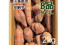 【絶品】種子島産安納芋 B品 中〜大サイズ 2kg(箱別)