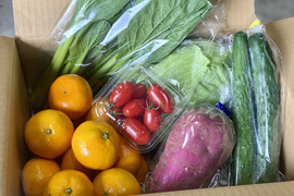 お買い得！みかん2ｋｇと採りたて野菜5品セット！