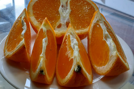 【母のにギフト】果汁たっぷり清見オレンジとっても美味４Kg冷蔵便