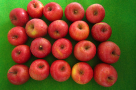 樹上完熟サンふじ 小玉 家庭用 総重量 約4.3kg前後 青森県 南部地方産 自家りんご農園生産直送品！