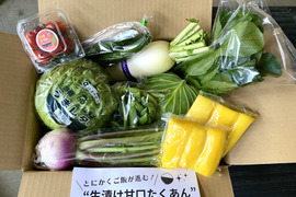 食べ納めセール300円OFF！【たくあん2個入】畑より採りたて直送！野菜セット Ｂ8品