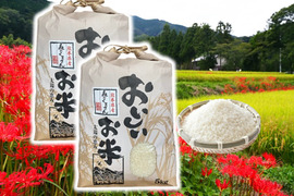 もっちり食感甘い！熊本県産お米（森のくまさん）１０ｋｇ（５㎏×２袋）