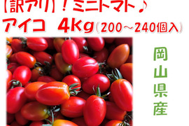 訳アリ！　皮パリ食感！アイコ『岡山県産』４ｋｇ（概ね200～240個程度）