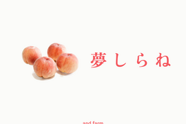 【数量限定】夢しらね｜南アルプスの夏を彩る華やかな希少桃　約2kg 約5~6玉