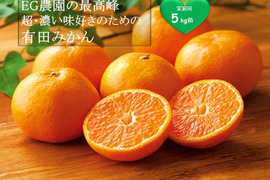 【再販未定】【濃い味の到達点】EG農園の最高峰！超濃い味好きのための有田みかん 5キロ箱 和歌山県 有田 みかん 2S~2Lサイズ　家庭用キズあり
