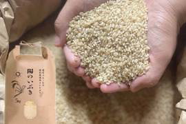 【化学肥料不使用・低農薬米】令和４年度産　樫村ふぁーむの特別栽培米コシヒカリ『陽のいぶき』（玄米5㎏）