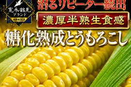 🌽日テレ出演で話題🌽【リピーター続出中】ギリギリまで糖化させた超濃厚朝採れとうもろこし🌽お試し約1kg【お中元ギフト】【家庭用・贈り物】2026年7月中旬予約