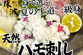 【夏の王道を名乗れる条件】骨で誤魔化さない身を選ぶ天然国産『ハモ』湯引き・天ぷら・鍋まで楽しむ長州床波ブランド☆お試約350g【7月上旬予約】