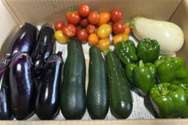 【訳あり】夏野菜セット　群馬県東吾妻町産　（なす・ズッキーニ・ピーマン・ミニトマト・白ナス）