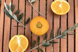 【有機JAS認証】ネーブル3kg