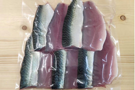 【漁師直送】鮮魚3種セット(小サバ三枚おろし・ウミタナゴ・【急速冷凍】小イシモチ)
