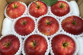 特選　ジョナゴールド　約3kg【2025年産】