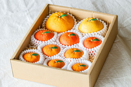 【食べ比べ】春かんきつお楽しみ箱　ギフト箱入セット【贈答用(超 特選品)】 zzz-fr10