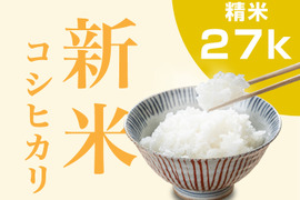 【新米/一等米】令和4年 コシヒカリ 27kg(精米)