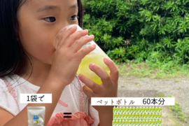 春の一番茶100％使用！水出し緑茶　1リットル用　5ｇ×30パック（1袋でペットボトル60本分）