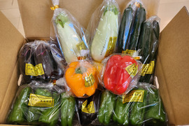 農園直送！野菜セット（5種類）高知県産