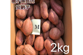 【絶品】大人気！安納芋 Mサイズ 2kg(箱別)