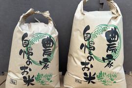 【予約販売】農薬・化学肥料不使用【森のくまさん】　玄米（10kg）令和5年産　新米