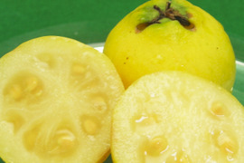 グアバの通販｜果物｜食べチョク｜産地直送(産直)お取り寄せ通販