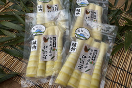 筍農家が作る！有度山日本平竹の子『淡竹』水煮パック150g×4p