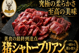 【貴族が独占する頂点】一頭から僅か数％“極上猪シャトーブリアン”🍖別格の超希少肉約100g