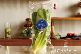 安心!菌数管理栽培野菜 LOHASALA ロメインレタスセット (12個入/合計約960g個包装) 洗わずに食べられる魅力満載のサスティナブル新野菜☆☆【LED施設栽培野菜】