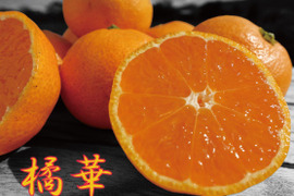 温州みかん“かほる橘華”　9.3ｋｇ