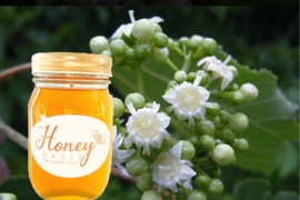 非加熱はちみつの通販｜食べチョク｜産地直送(産直)お取り寄せ