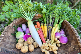 [自然栽培] 季節の野菜詰め合わせBOX Sサイズ