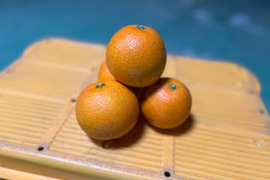 数量限定！【有機JAS認証】ナベリーナ5kg